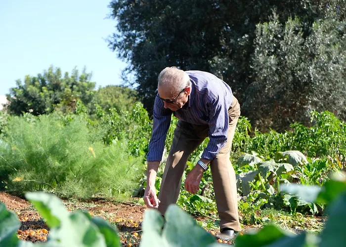 Masseria Grieco Ostuni